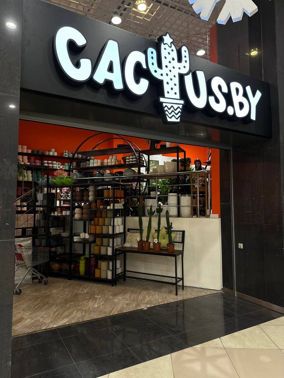 CACTUS.BY