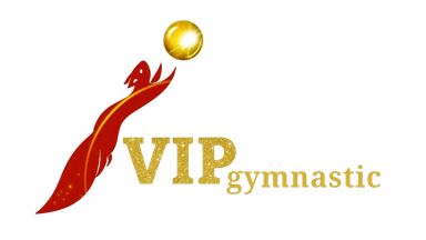 VIP gymnastic logo