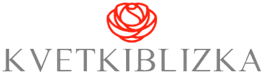 KVETKIBLIZKA logo